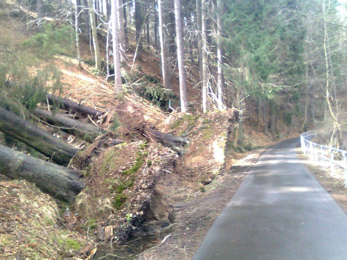 czytelnik-wichura-nie-oszczedzia-trasy-do-pery-zachodu-foto-57213