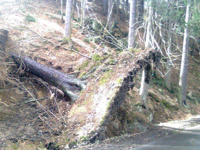 czytelnik-wichura-nie-oszczedzia-trasy-do-pery-zachodu-foto-57213