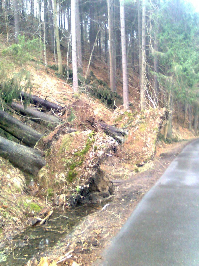 czytelnik-wichura-nie-oszczedzia-trasy-do-pery-zachodu-foto-57213