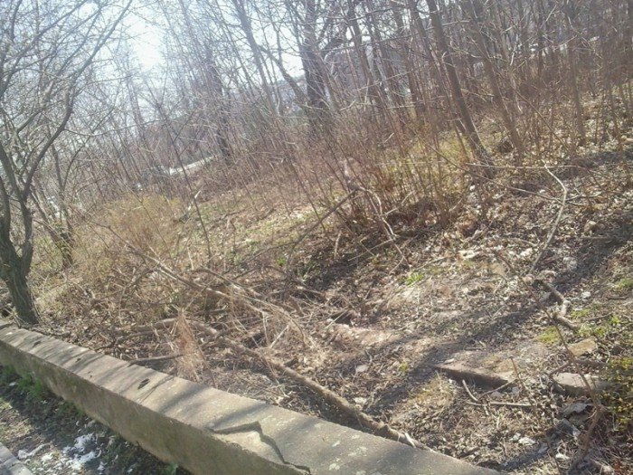 czytelnicy-skwer-przy-mynowce-posprzatany-byle-jak-foto-57326