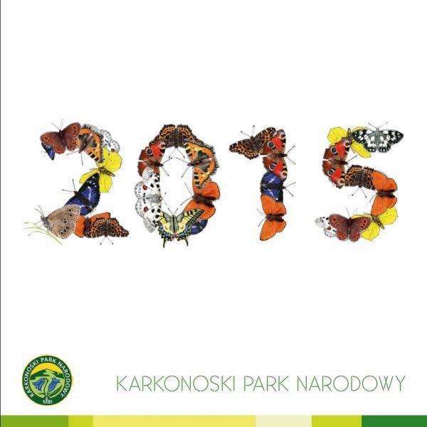 rok-motyli-karkonoskich-foto-57369