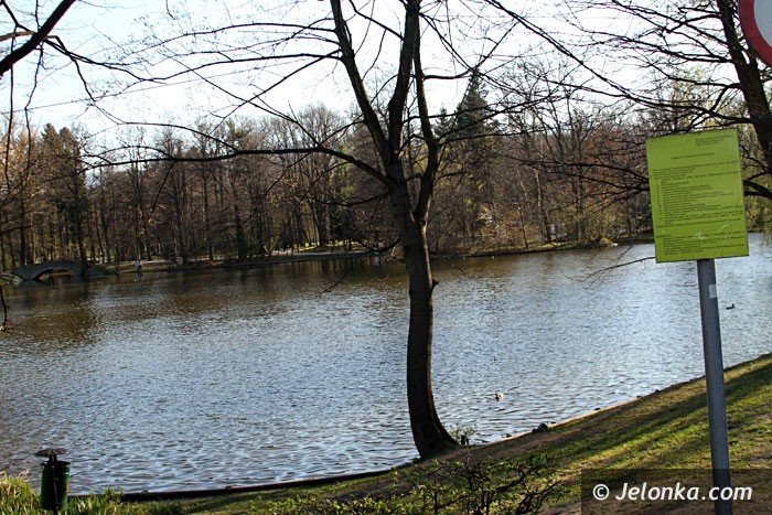 czerwonka-zasilajaca-parkowe-stawy-do-modernizacji-foto-57382