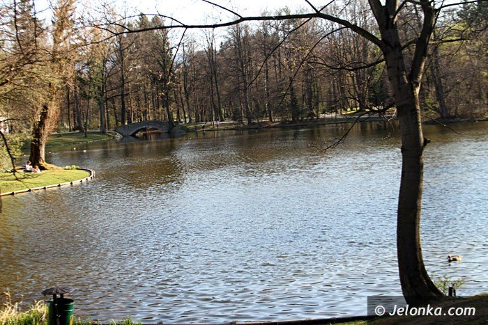 czerwonka-zasilajaca-parkowe-stawy-do-modernizacji-foto-57382