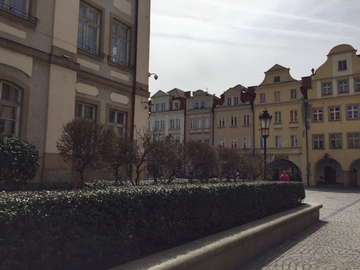 przybywa-kwiatow-w-jeleniej-gorze-foto-57383