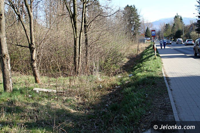 posprzataja-cieplice-przyacz-sie-57387