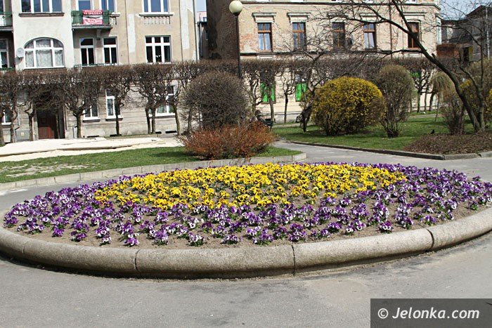 czytelnik-co-ze-skwerkiem-przy-ul-okrzei-foto-57399