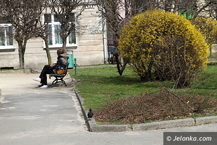 czytelnik-co-ze-skwerkiem-przy-ul-okrzei-foto-57399