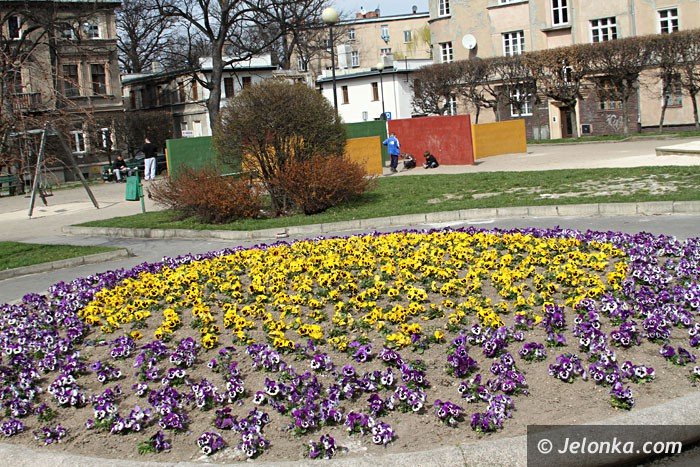 czytelnik-co-ze-skwerkiem-przy-ul-okrzei-foto-57399