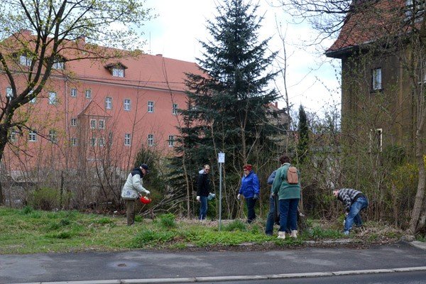 mieszkancy-posprzatali-cieplice-foto-57460