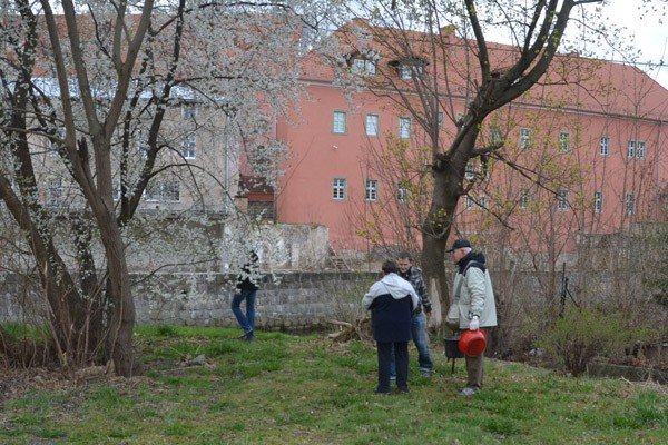 mieszkancy-posprzatali-cieplice-foto-57460