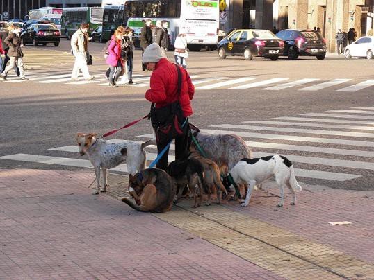 o-buenos-aires-w-cyklu-czwartkowym-foto-57596