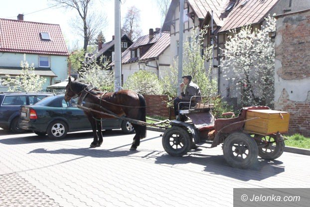 kon-najlepszym-przyjacielem-kierowcy-foto-57673