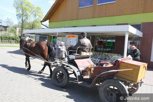 kon-najlepszym-przyjacielem-kierowcy-foto-57673