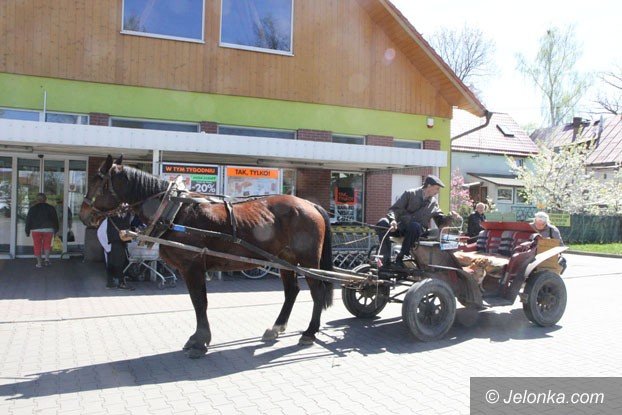 kon-najlepszym-przyjacielem-kierowcy-foto-57673