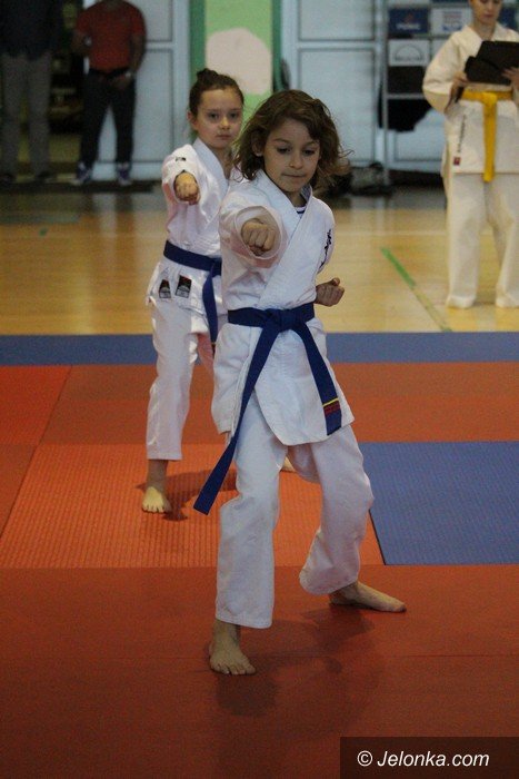 japonska-parada-ulicami-jeleniej-gory-foto-video-57685