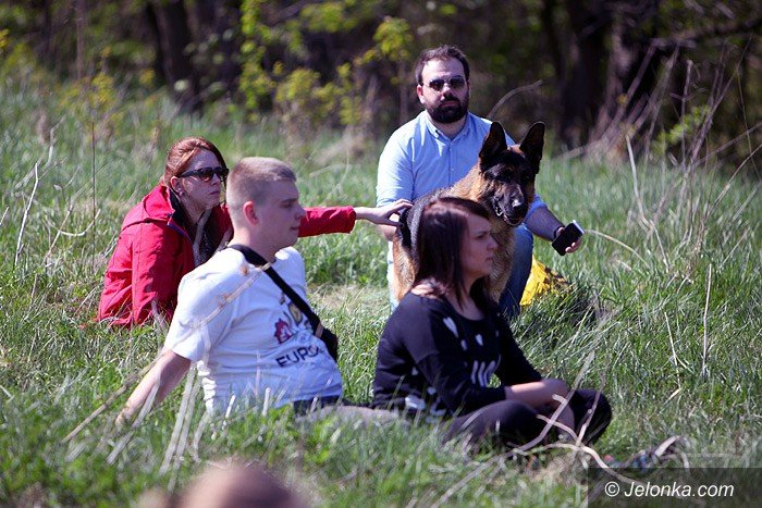 rajd-arado-ostatnia-proba-si-foto-video-57697