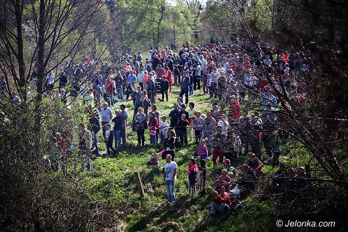 rajd-arado-ostatnia-proba-si-foto-video-57697