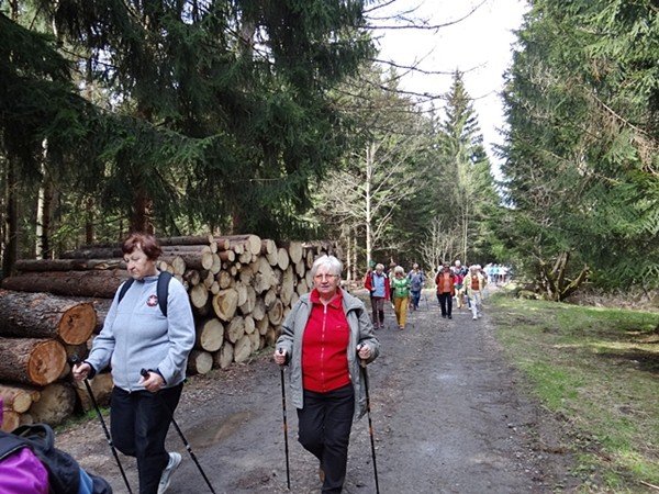 rozpocza-sie-sezon-wedrowki-z-kijkami-foto-video-57718
