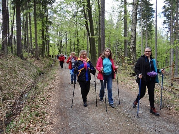 rozpocza-sie-sezon-wedrowki-z-kijkami-foto-video-57718