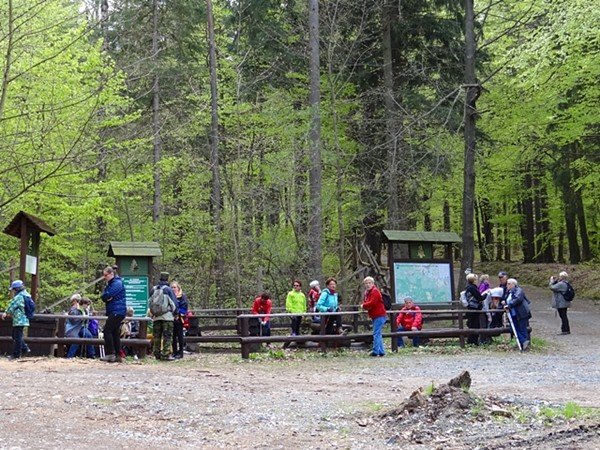 rozpocza-sie-sezon-wedrowki-z-kijkami-foto-video-57718