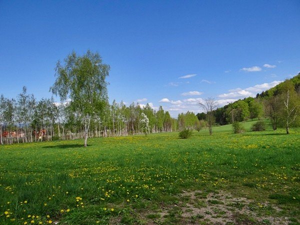 rozpocza-sie-sezon-wedrowki-z-kijkami-foto-video-57718