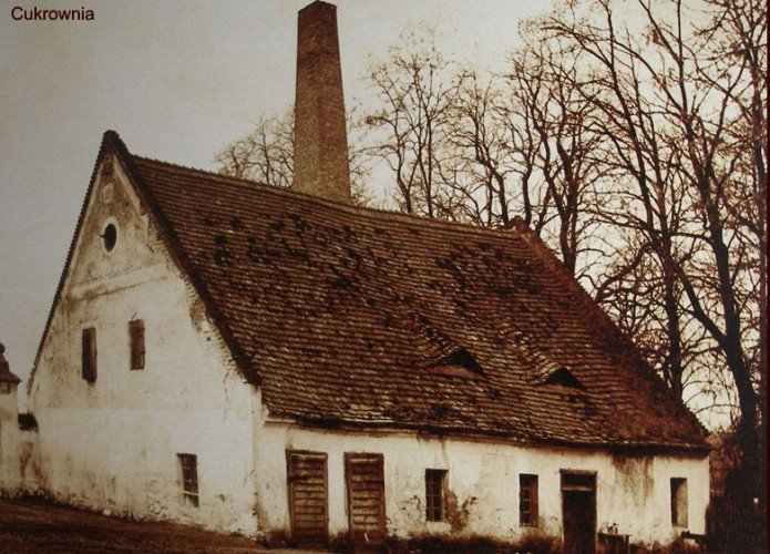 Pierwsza na świecie cukrownia oparta na burakach cukrowych
