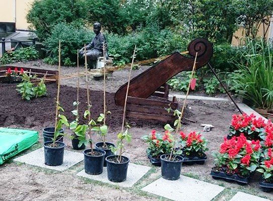 nasze-ogrodniczki-podbijaja-serca-wochow-foto-57834