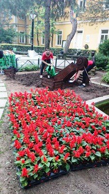 nasze-ogrodniczki-podbijaja-serca-wochow-foto-57834
