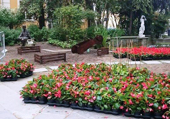 nasze-ogrodniczki-podbijaja-serca-wochow-foto-57834