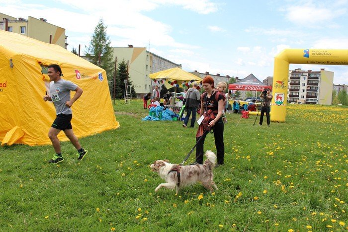 w-jeleniej-gorze-biegacze-wsparli-nepalczykow-foto-57841