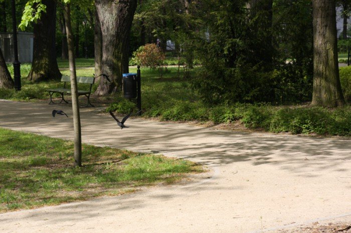 odwodnia-park-zdrojowy-foto-57899