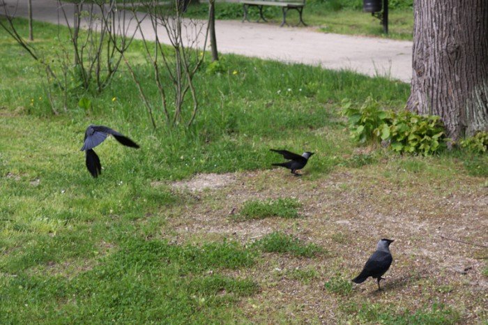 odwodnia-park-zdrojowy-foto-57899