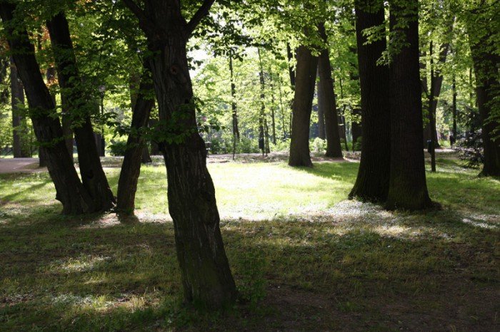 odwodnia-park-zdrojowy-foto-57899