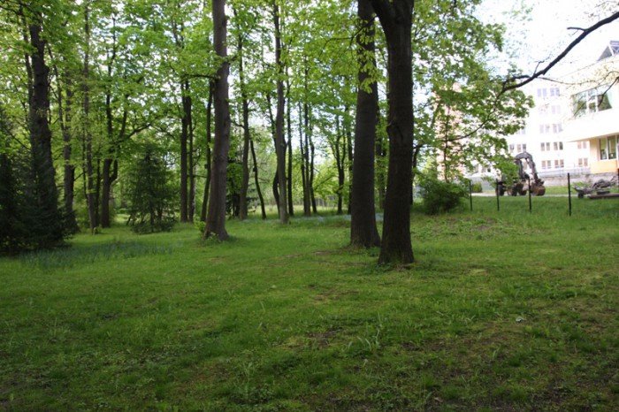 odwodnia-park-zdrojowy-foto-57899