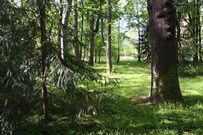 odwodnia-park-zdrojowy-foto-57899