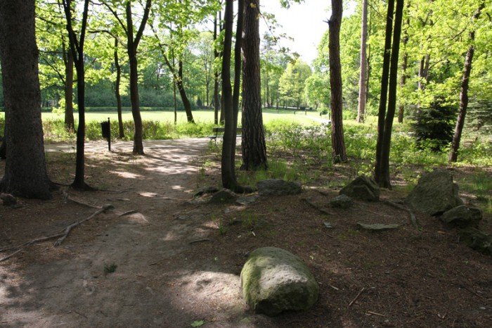 odwodnia-park-zdrojowy-foto-57899