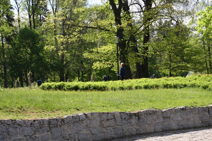 odwodnia-park-zdrojowy-foto-57899
