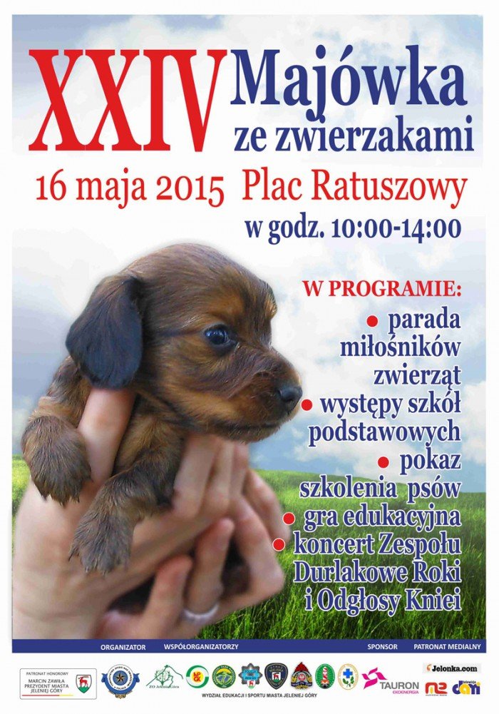 majowka-ze-zwierzakami-juz-jutro-bedzie-sie-dziao-foto-57923