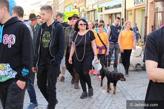 majowka-ze-zwierzakami-pena-atrakcji-foto-video-57944