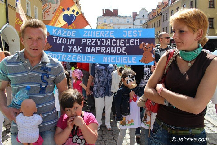 majowka-ze-zwierzakami-pena-atrakcji-foto-video-57944