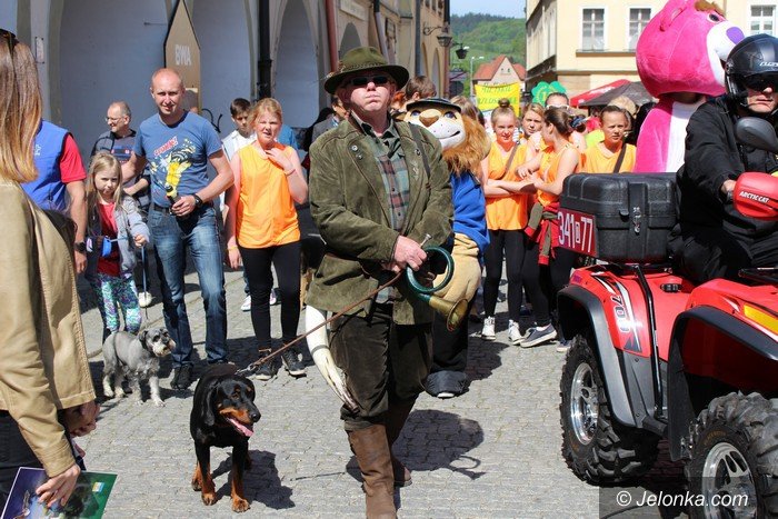 majowka-ze-zwierzakami-pena-atrakcji-foto-video-57944
