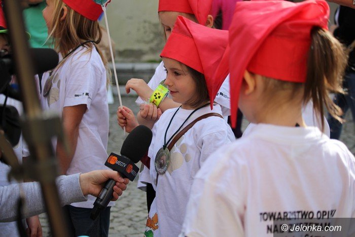 majowka-ze-zwierzakami-pena-atrakcji-foto-video-57944