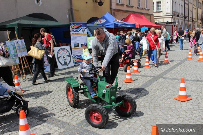 majowka-ze-zwierzakami-pena-atrakcji-foto-video-57944