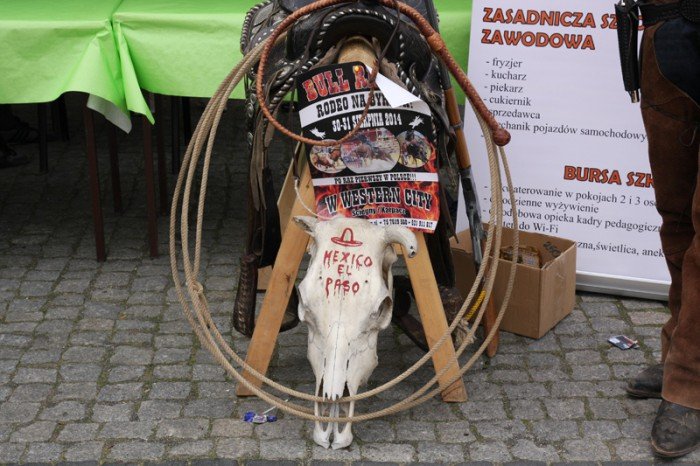 majowka-ze-zwierzakami-pena-atrakcji-foto-video-57944