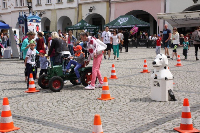 majowka-ze-zwierzakami-pena-atrakcji-foto-video-57944