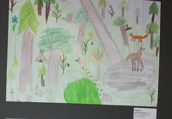 7-noc-muzeow-w-muzeum-karkonoskim-moc-atrakcji-i-tumy-zwiedzajacych-foto-video-57954