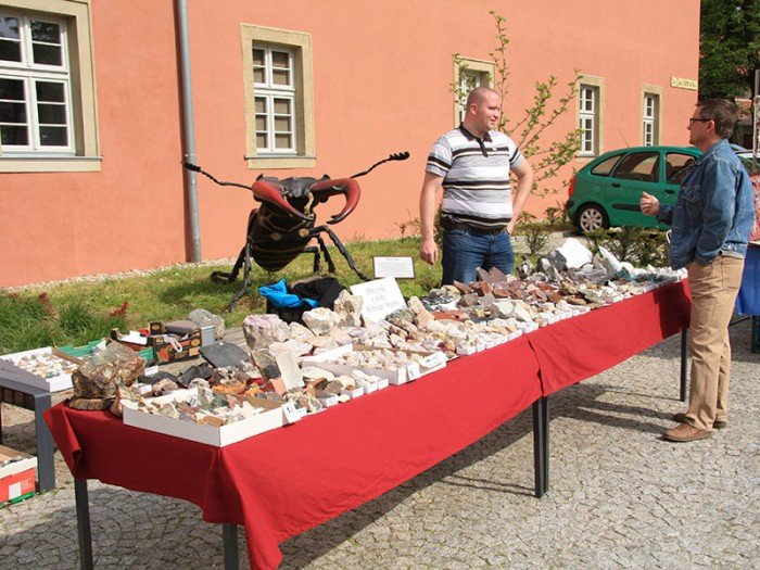 po-giedzie-mineraow-i-skamieniaosci-foto-57971