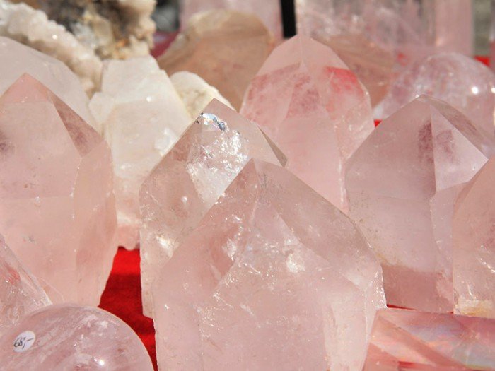 po-giedzie-mineraow-i-skamieniaosci-foto-57971