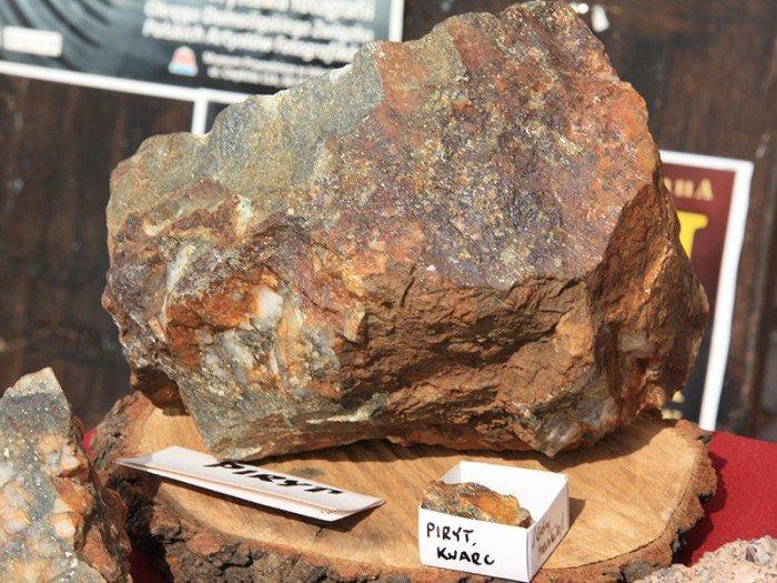 po-giedzie-mineraow-i-skamieniaosci-foto-57971