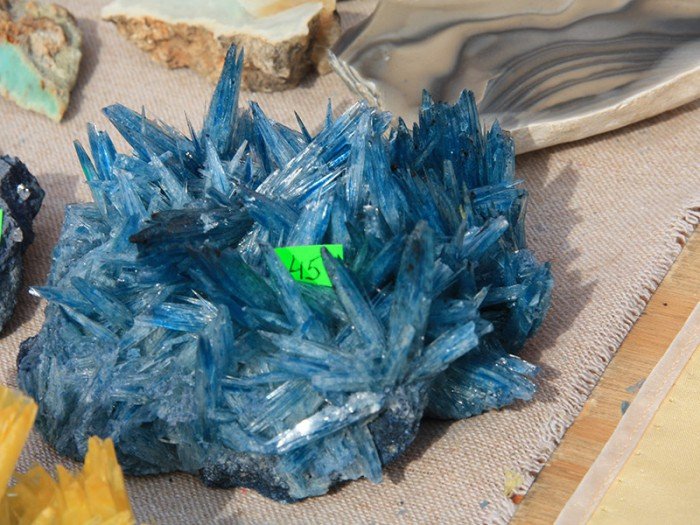 po-giedzie-mineraow-i-skamieniaosci-foto-57971
